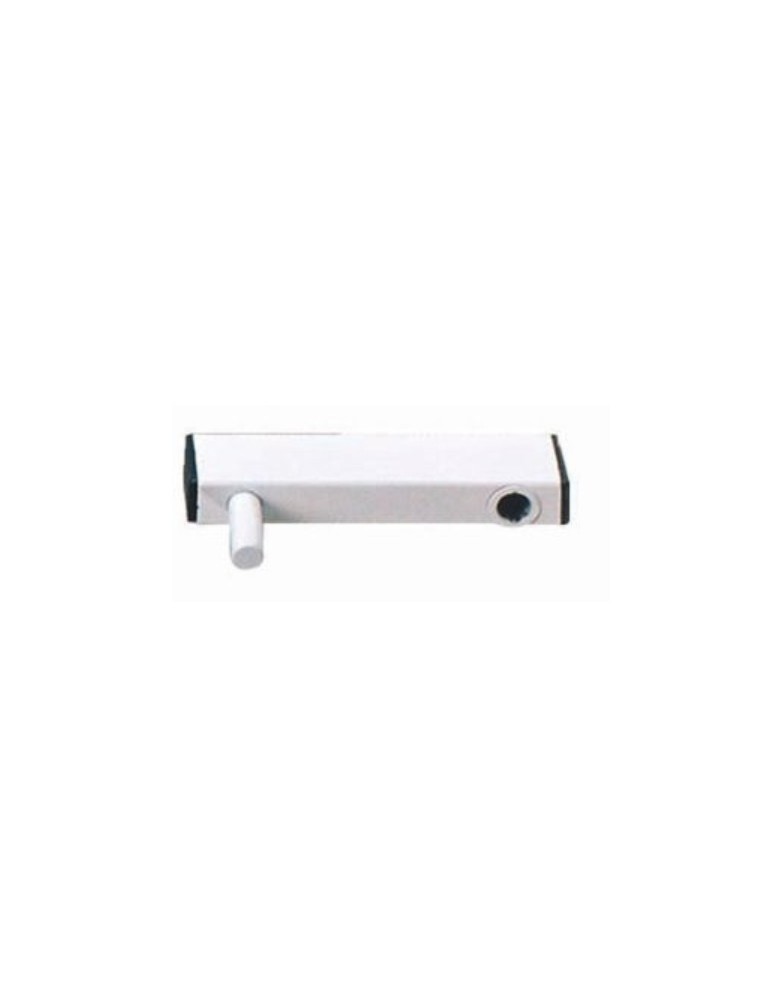 RALLONGE SUPPORT MURAL pour LAMPE 250 W
