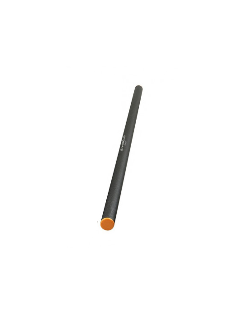 Barre Acier Lestée 1, M| Kiné-Stock