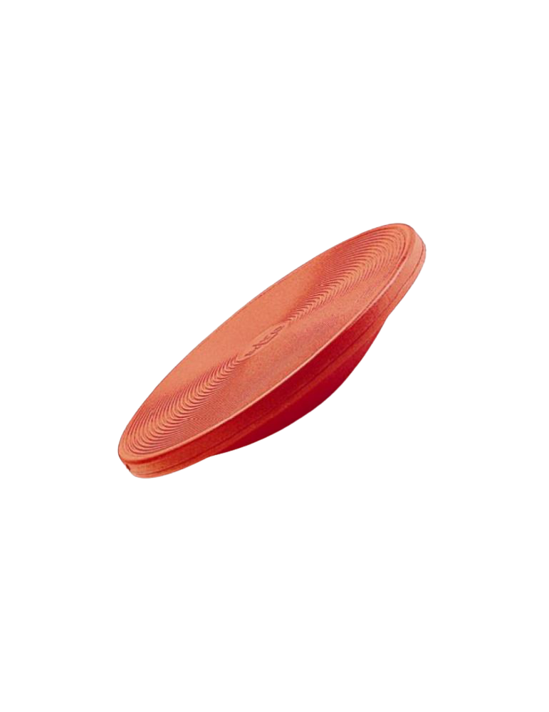 Assiette équilibre plastique | Kiné Stock