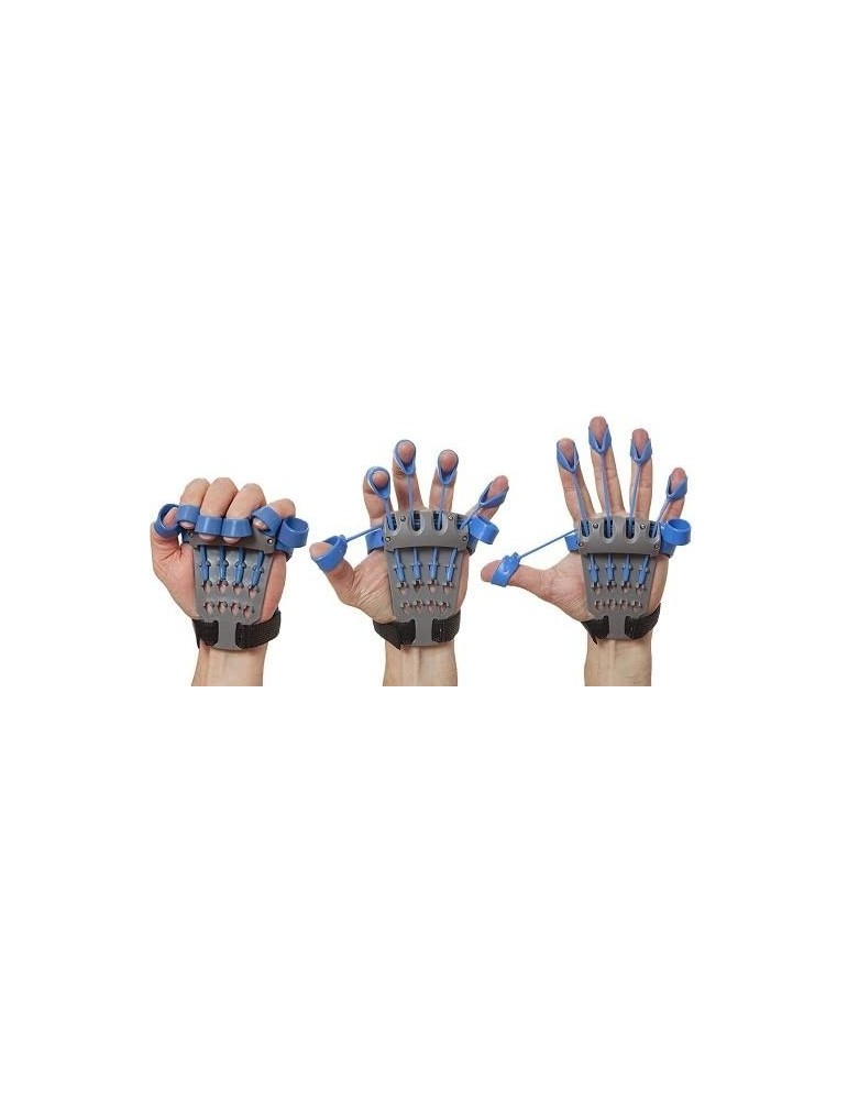 Xtensor | Kiné Stock