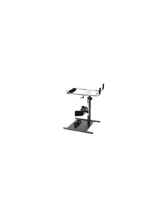 Standing GT - Verticalisateur | Kiné Stock