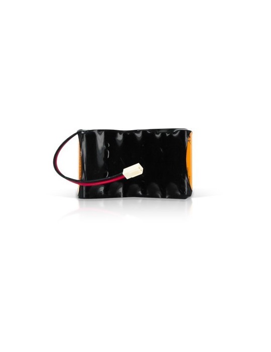 Batterie Rehab 4 Pro