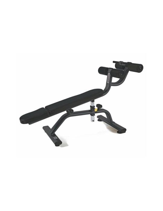Banc abdominaux réglable | Kiné Stock
