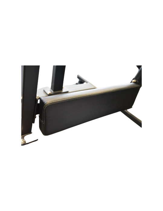 Glute Machine FWX-4600 | Kinéstock