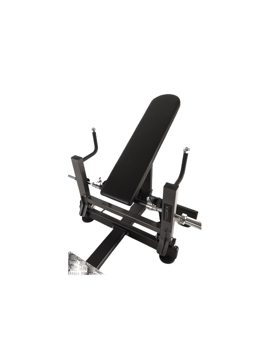 Hip thrust machine FWX-4400 | Kinéstock