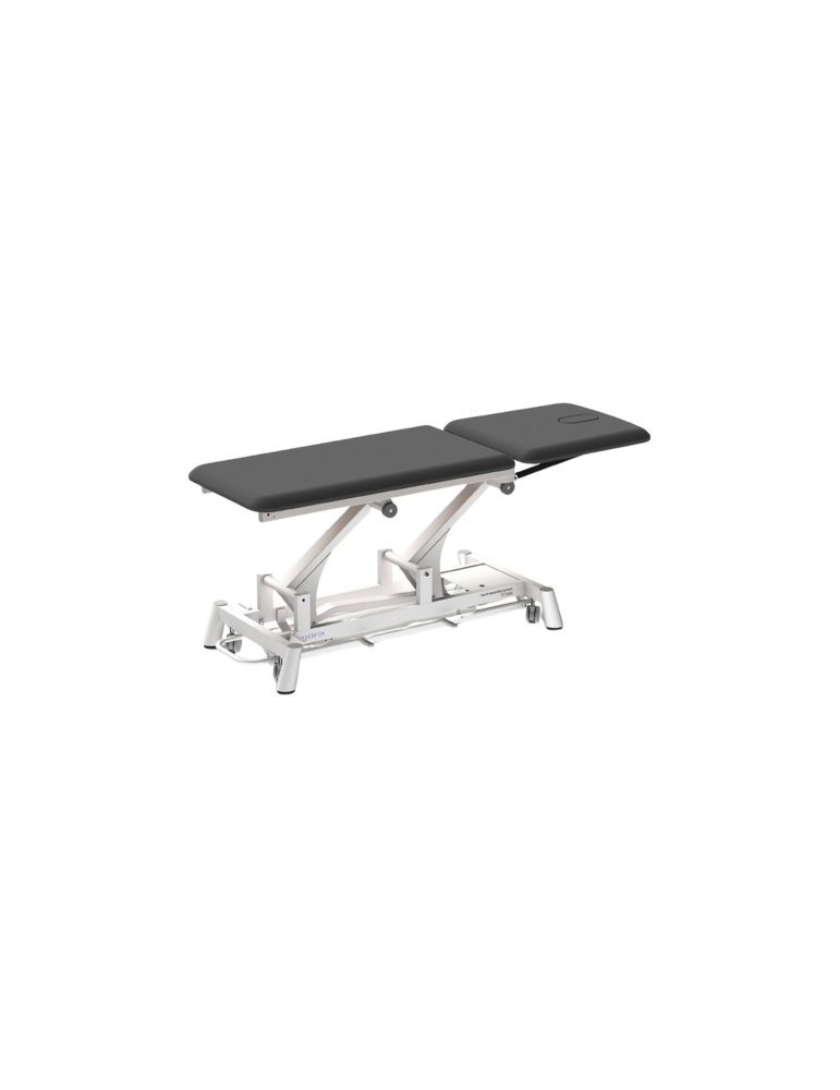 Table SILVERFOX TITAN 301 | Kinestock