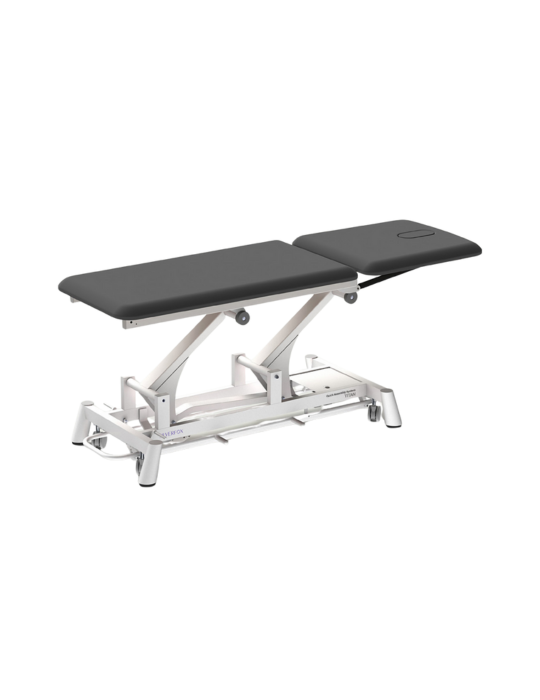 Table SILVERFOX TITAN 301 | Kinestock
