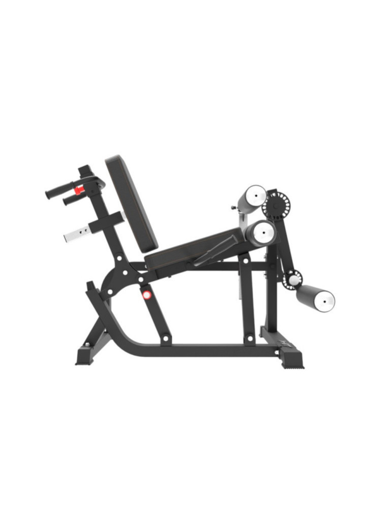 Station Leg Curl Extension | Kiné Stock