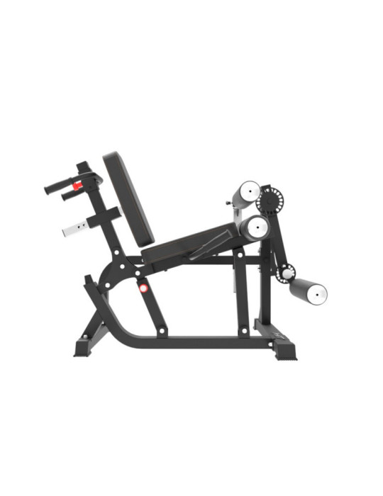 Station Leg Curl Extension | Kiné Stock