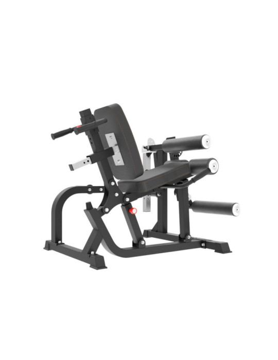 Station Leg Curl Extension | Kiné Stock