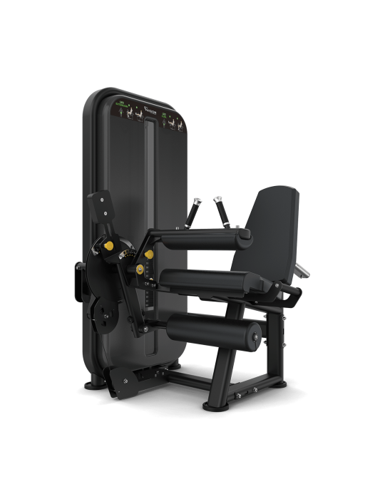 Leg Extension / Leg Curl – Station double | KINESTOCK
