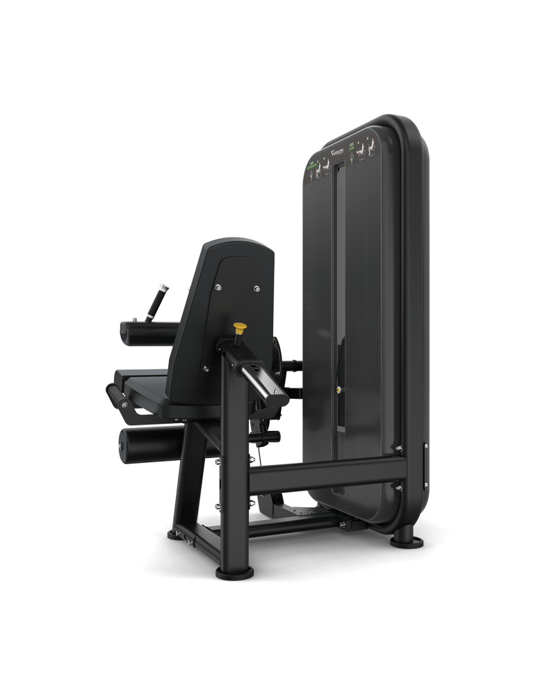 Leg Extension / Leg Curl – Station double | KINESTOCK