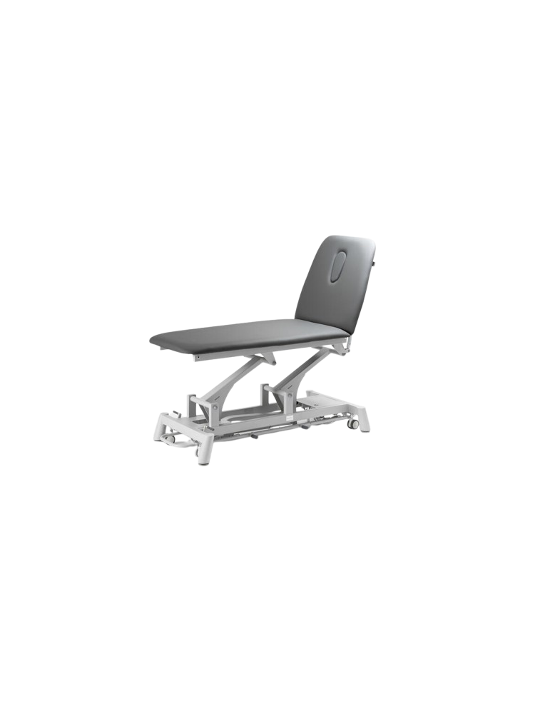 Table SILVERFOX TITAN 301 | Kinestock
