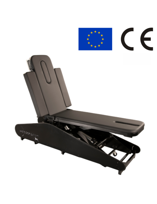 WBS Lift – Table de posture motorisée avec traction | Kiné Stock