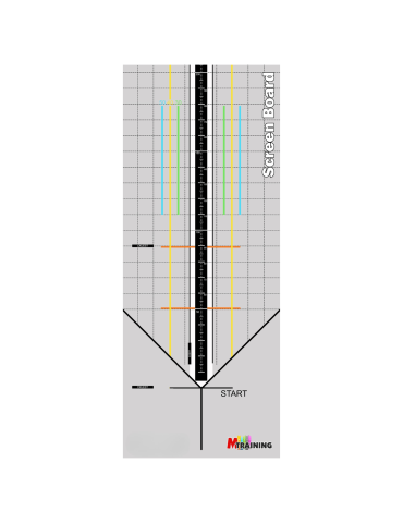 Tapis d’exercice et d’évaluation fonctionnelle - Screenboard | Kiné Stock