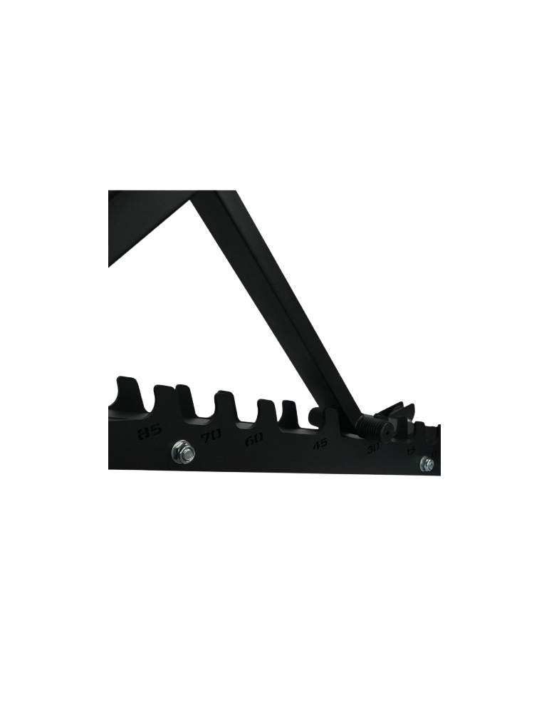 Banc Training Pro inclinable et déclinable | Kiné Stock