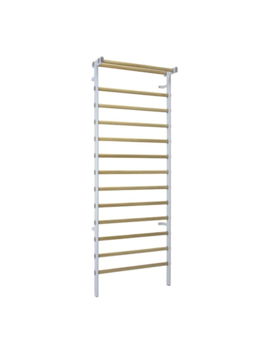 Espalier de reeducation en acier 14 barreaux | Kiné Stock