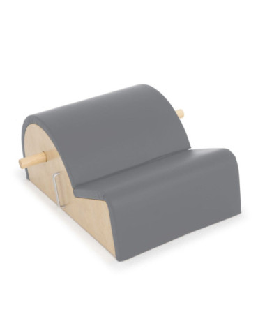 Spine Corrector 2