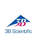 3B SCIENTIFIC